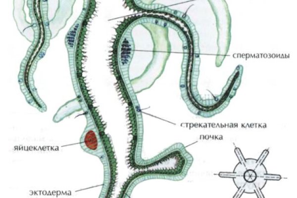 Как зайти на кракен kr2web in