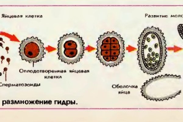 Ссылка на кракен тор kraken014 com