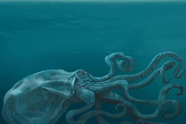 Kraken istand onion