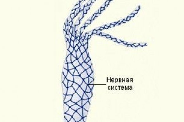 Кракен 16 at