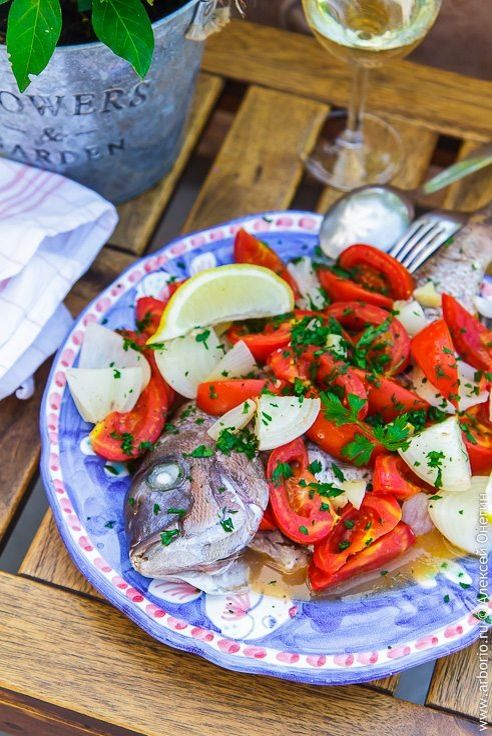 ����, ���������� � ����������