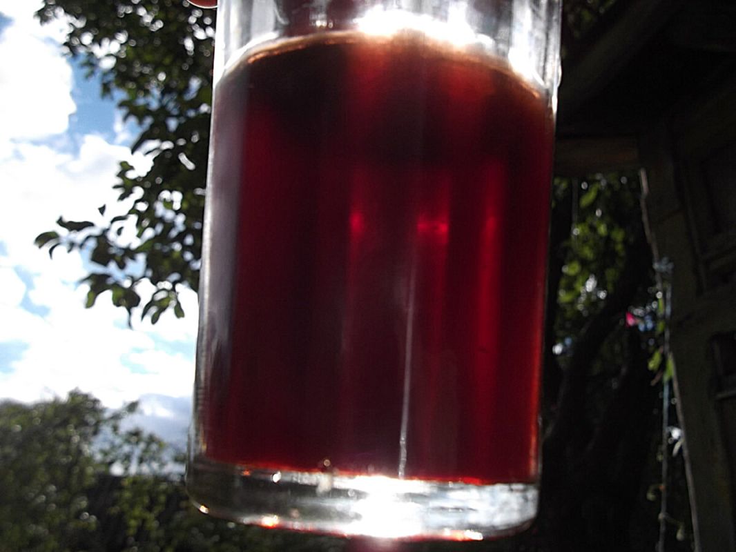 ���� ��������� ������������: ������� � ����� ��������