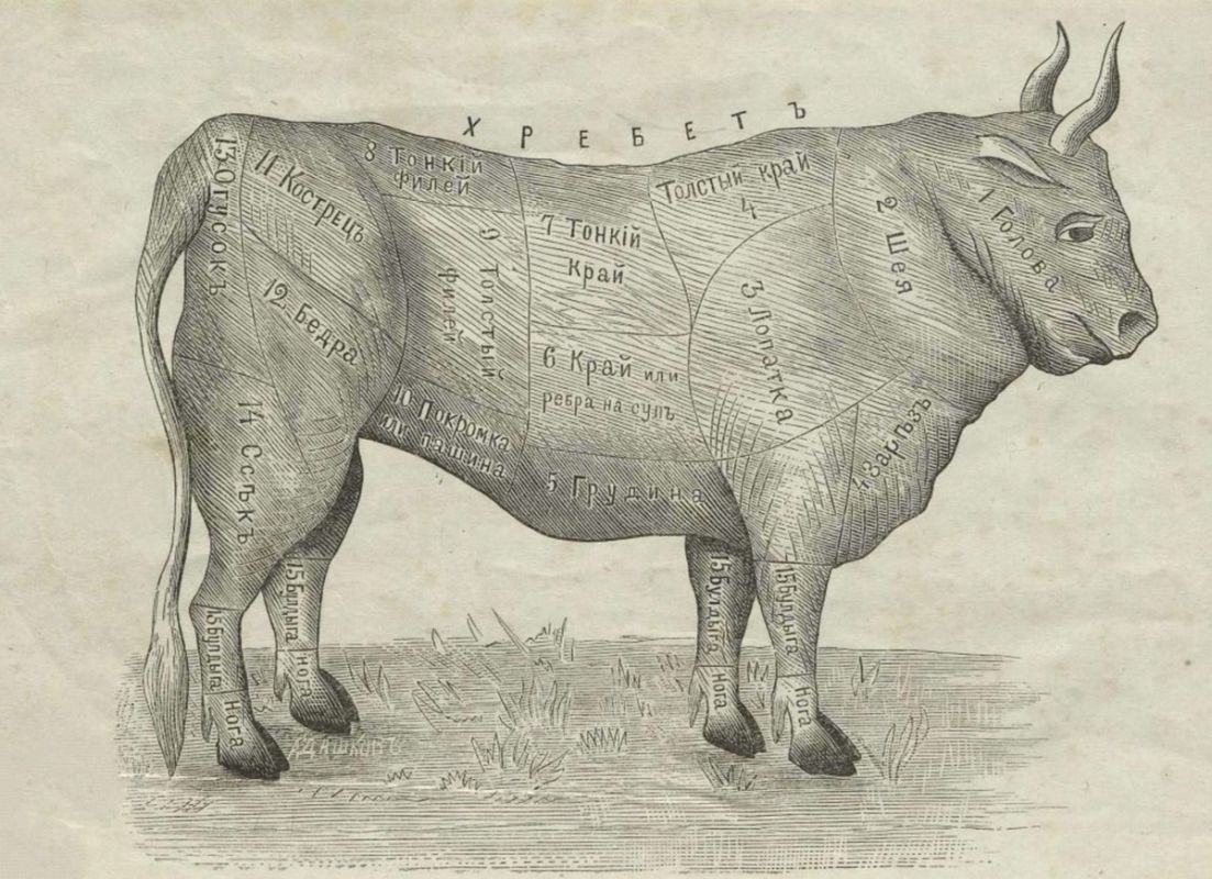 ����� ���������� ���������� ��������: �� �������� �� ��������� ����