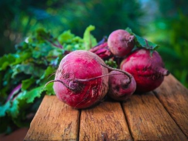 ������� ������: ������ �������� � �������� ������������