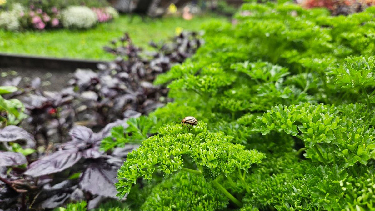 ��������: ��� �������� ������ � �������� ������������ ������