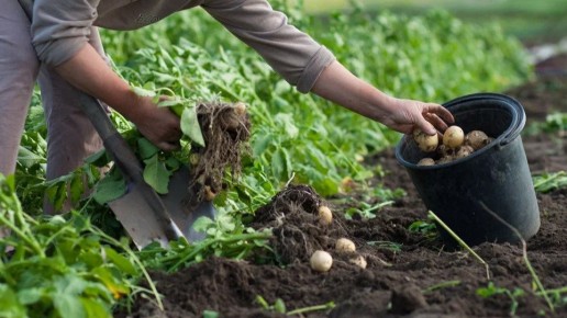 ��� �������� �������� ������ ��������� � ������������ ���������: ������� ������������ ���������