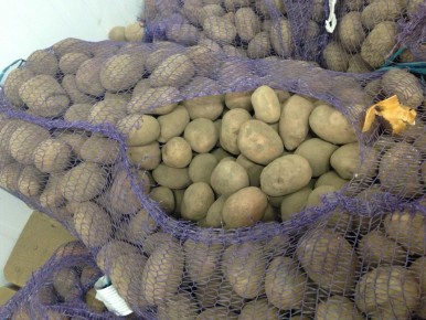 �������� �������� ��������: ������ � �����