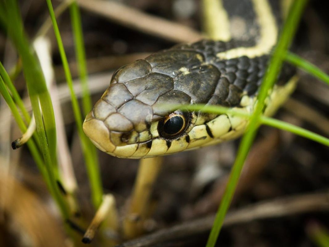 ��� �������� ���� ������� �� ����: ������� � ����������� ������