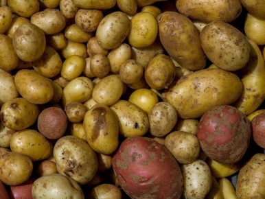 ������� �������� ����� ��������: ����� � ��� �������� ������