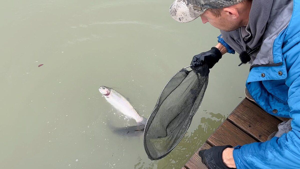 ��� ������� ��������� ������: ��� �� �����