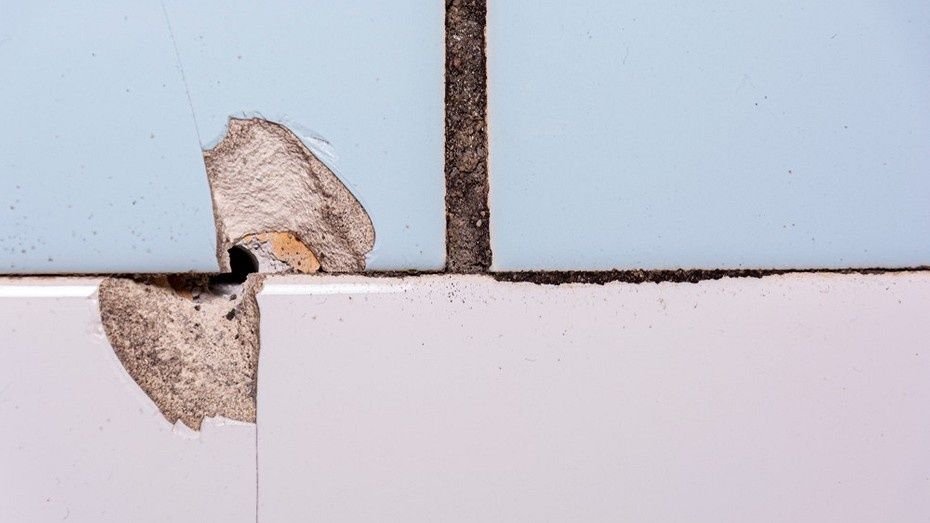 ��� ������ ����������� �� ������: ���������� ������� ��� ��������� ������������ DIY