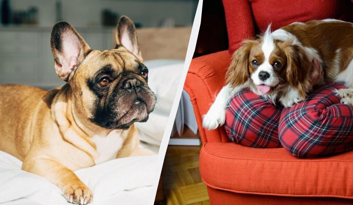 ������� ����� �������� ������ �������: ����� ���������� ������ �����