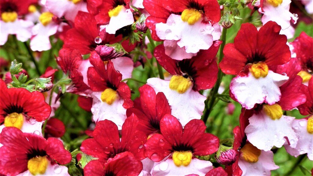 �������: ����� ������ ������ ���� �� ������ ����������