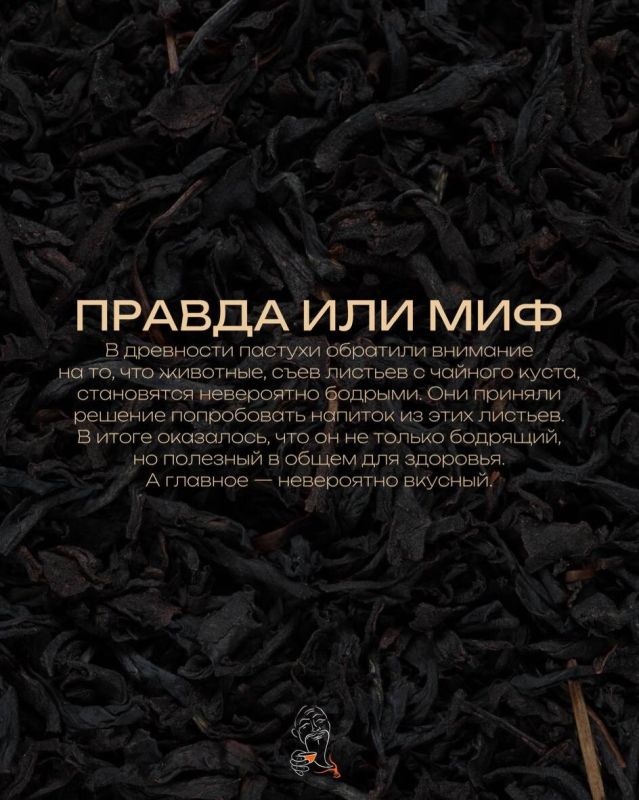 ������� �� ����: ��� ��� ����������?