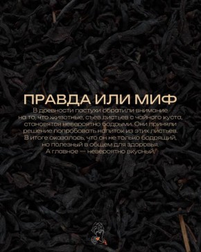 Загадка Шу Пуэр: миф или реальность?