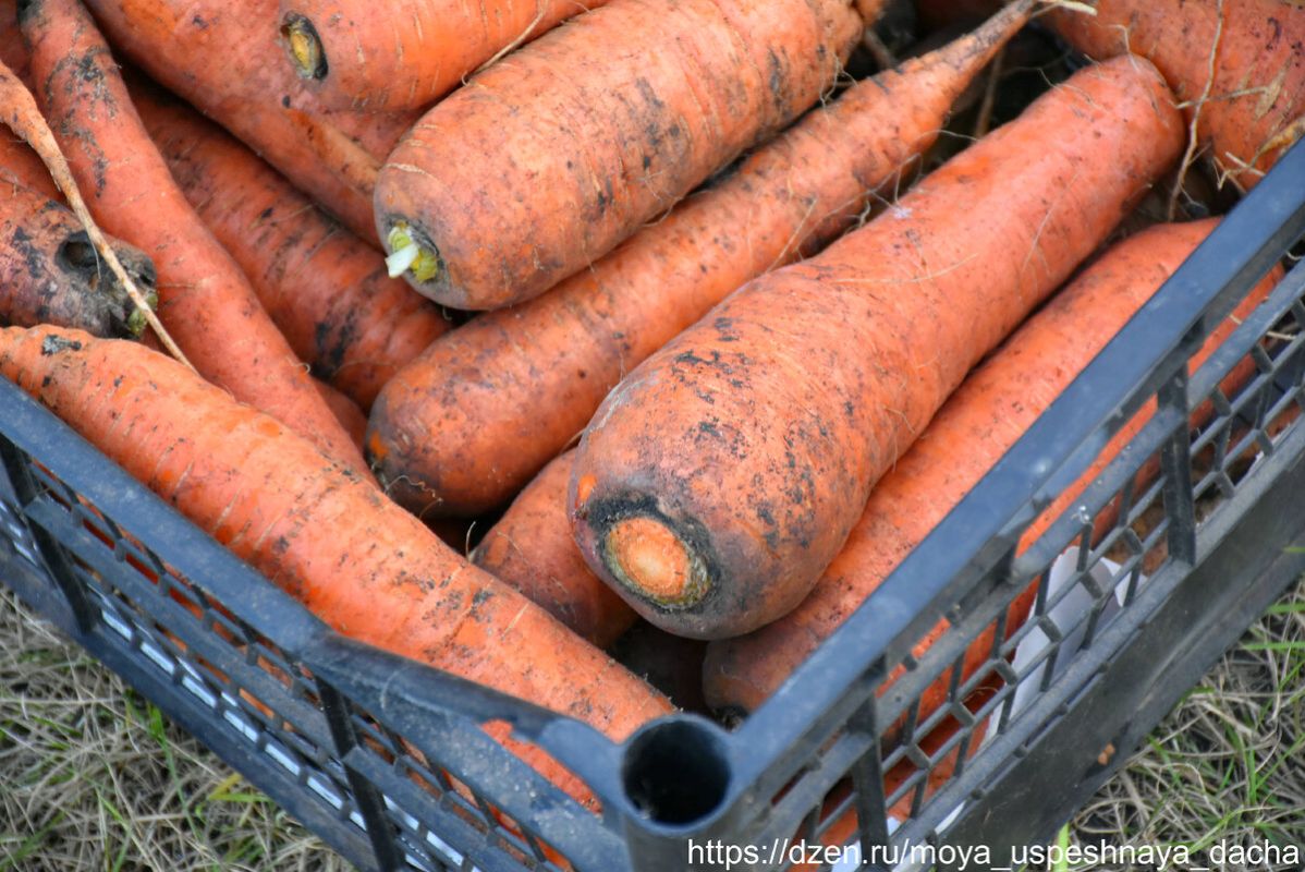 ��� ��������� �������: ������� ������ ��� �����������