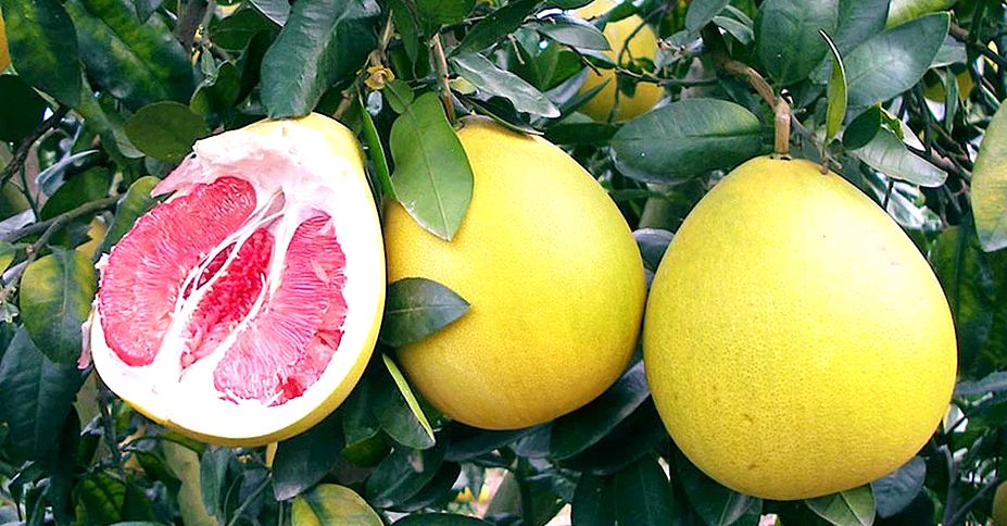 ������: ���������� ������, ������� ����������� ������