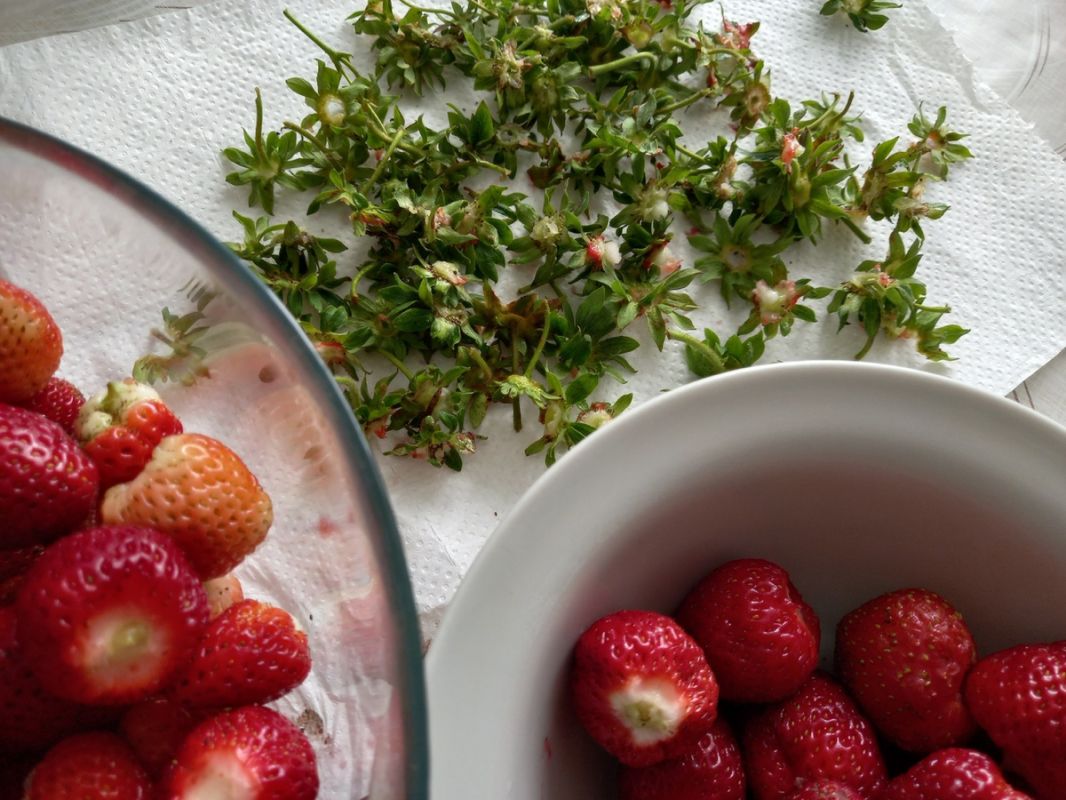 ��� ��������� ���� �������: ������ �� ����������� �����������������