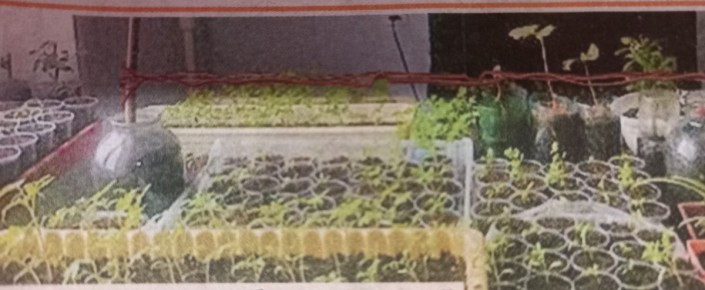 ����� ������ ���������: ��� ��� ������ �� ���� �������