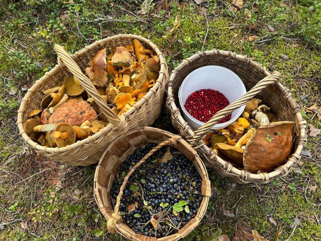 ������ ���������� �����: �������� � ���� ��������� �������