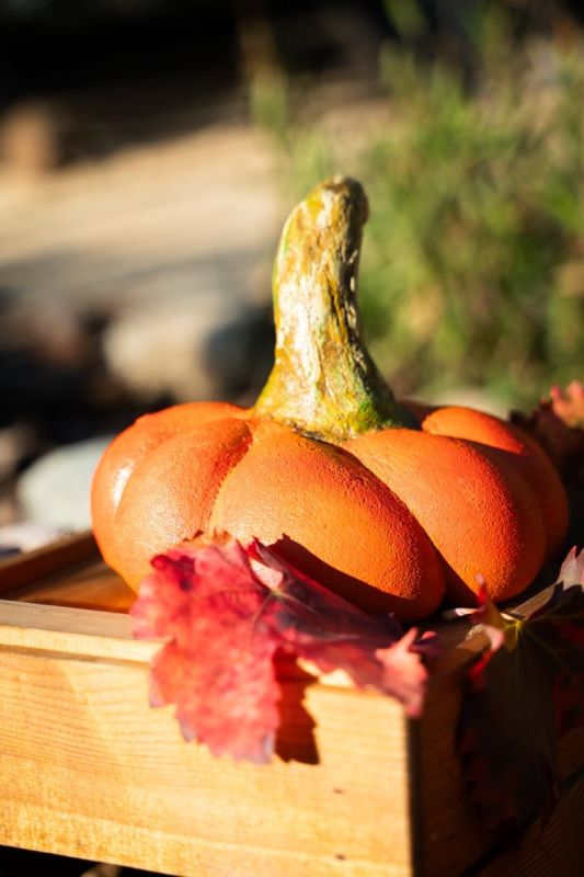 ���������� ������� �����: ��� ������� �������� ����� ��� ���� ������ ������