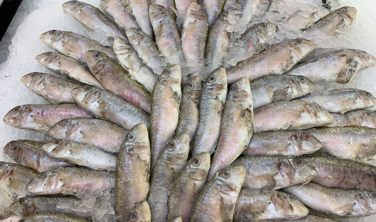 ФАС проводит исследование цен на рыбу: что будут делать с рыбным рынком?