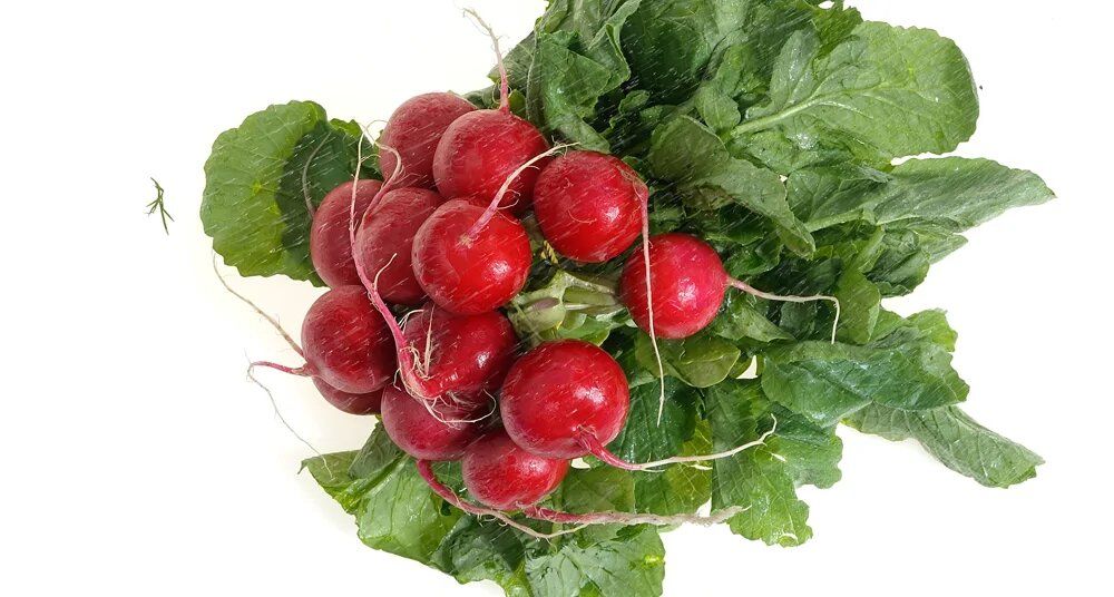 �������: ����� ������ �� �������� ����