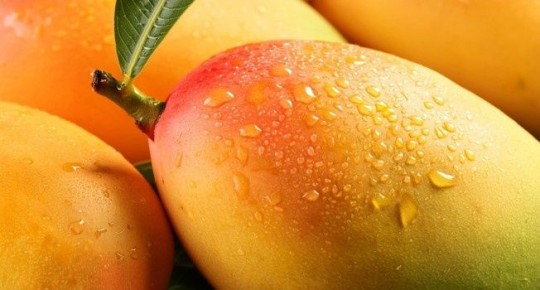 Манго: Как выбрать, хранить и готовить тропический десерт с пользой