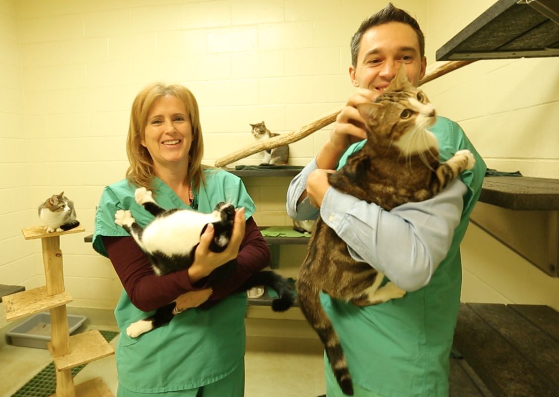 ������������ ����� ��� ��������: ��� �� ��������� � ������