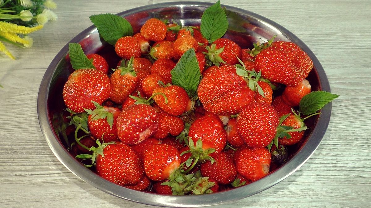 ��� ��������� ���� ����: ��������� ������� ��������� ��������