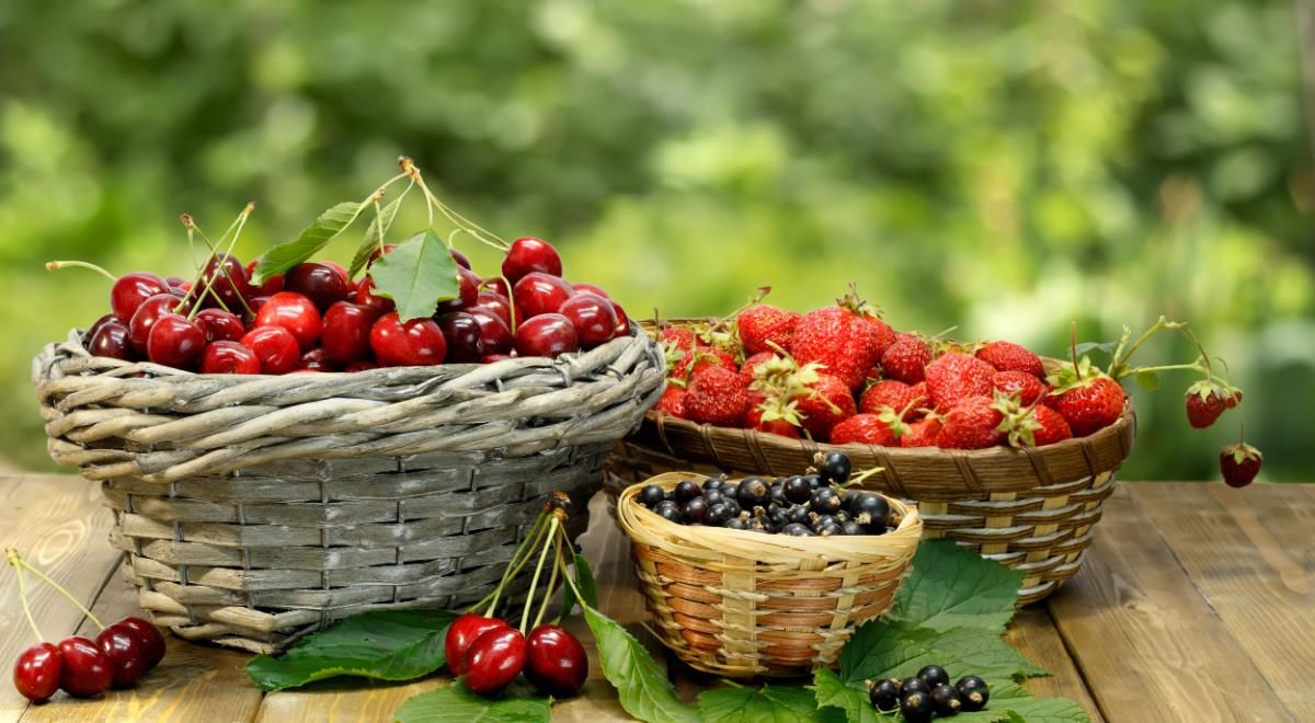 ������ ������ �� ���������� ����: ��� �������� �������� �������� � �������