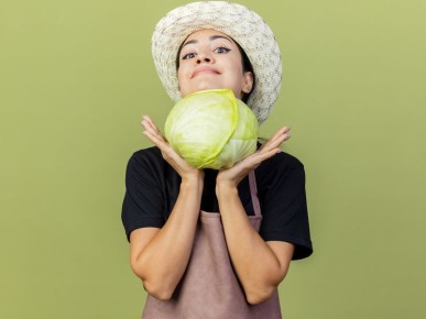 ��������� ����������: ������� ������ ���������� ����������