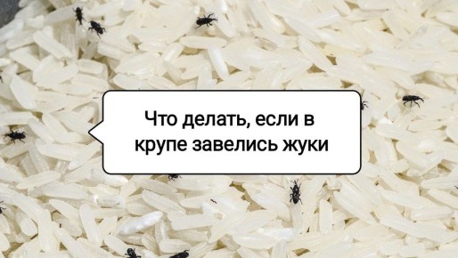 ��� ���������� ���������� �� ������ � �����: ������ � ������� �������� ������