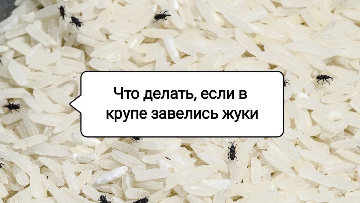 Как эффективно избавиться от жучков в крупе: советы и секреты успешных хозяек