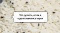 Как эффективно избавиться от жучков в крупе: советы и секреты успешных хозяек