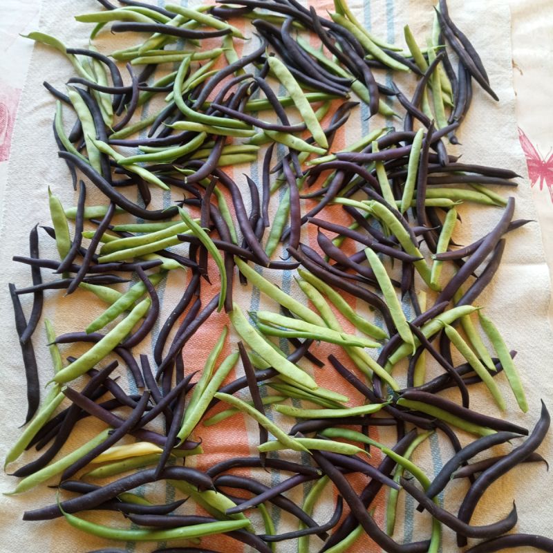 ����� ���: ������, ������� � ����� �������