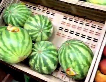Почему зимний арбуз оказался разочарованием для покупателей