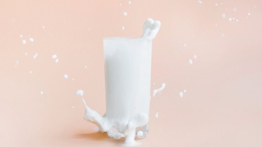 ������ � ���� � �����: �������� �����������