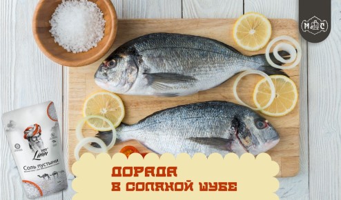 ���������� ������ � ������� �������: ��� ����������� ��������� ���� ����� �� 35 �����