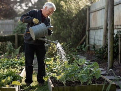 �������: ������ ���������� ��� ������ �����