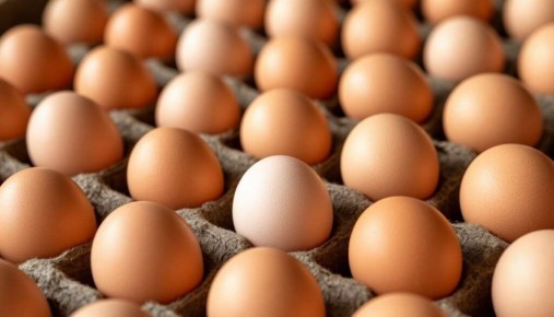 ��� ��������� ������ ����: ������ ���-������