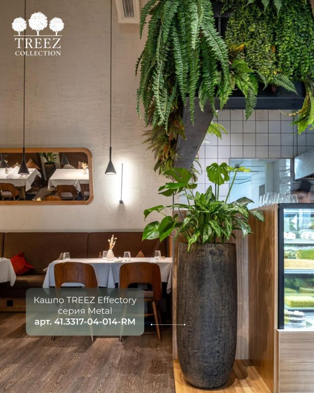 ��� �������� Luca ������� ���������� ��������� � ������� �������