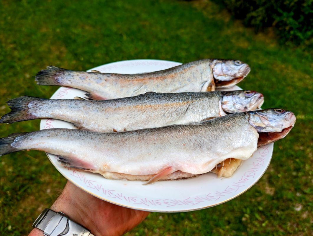 ��������� ��������: �������� ������ �� ����� ����������� �����