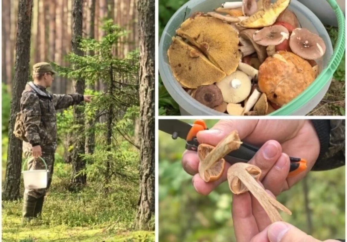 ����� ����� �����: ��� ����� ����� � �� ����������� � ����