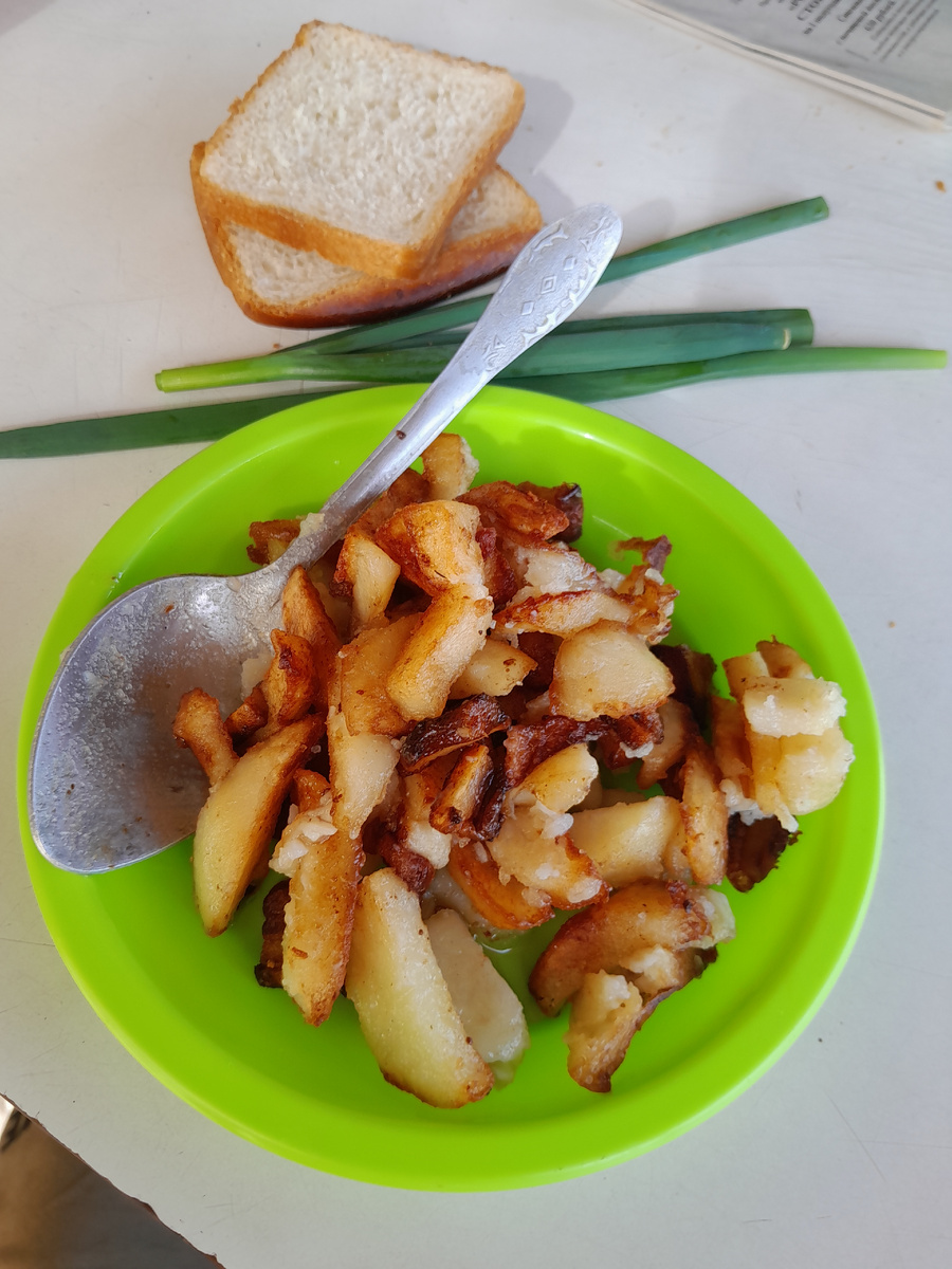 Жареная картошка на свином сале: пикник с ароматом лесного огня