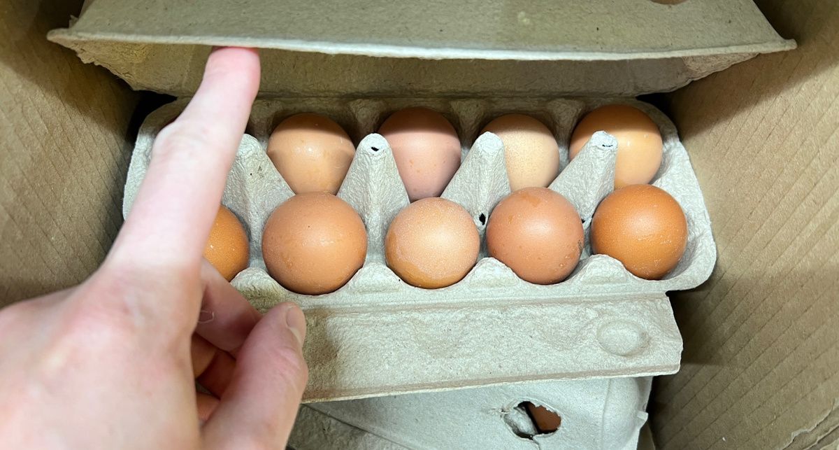 ���� � �������� ���������: ��� �������� ������ ����� � ��������