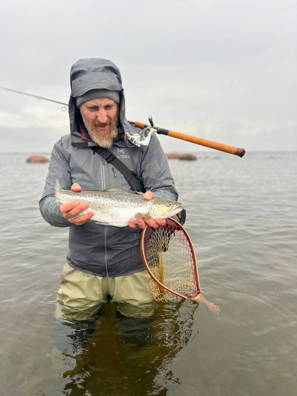 ����� ������� ������: ������ ���� ��� ������������ �������