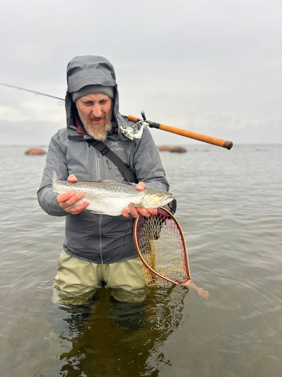 Тайны морской форели: почему этот вид завораживает рыбаков