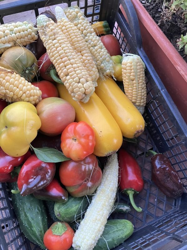 ��� ������� ������?