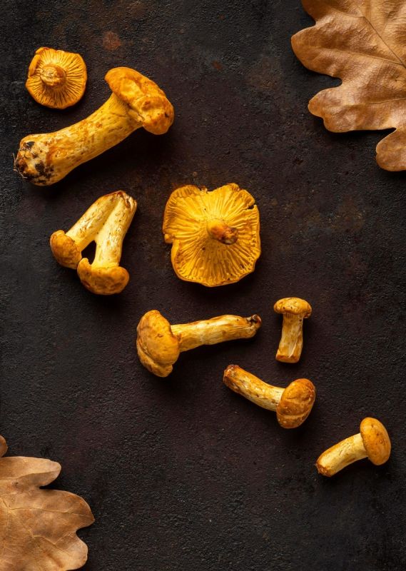 �������: �������� ��������� � ������������� ����������